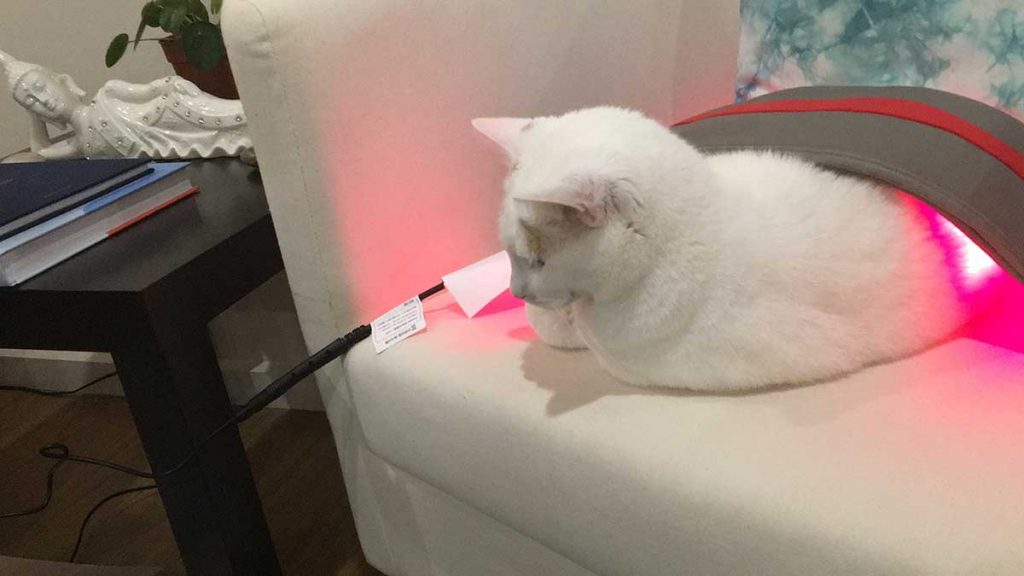 Red Light Therapy Melbourne