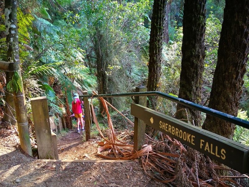 Sassafras Healing Room Experience