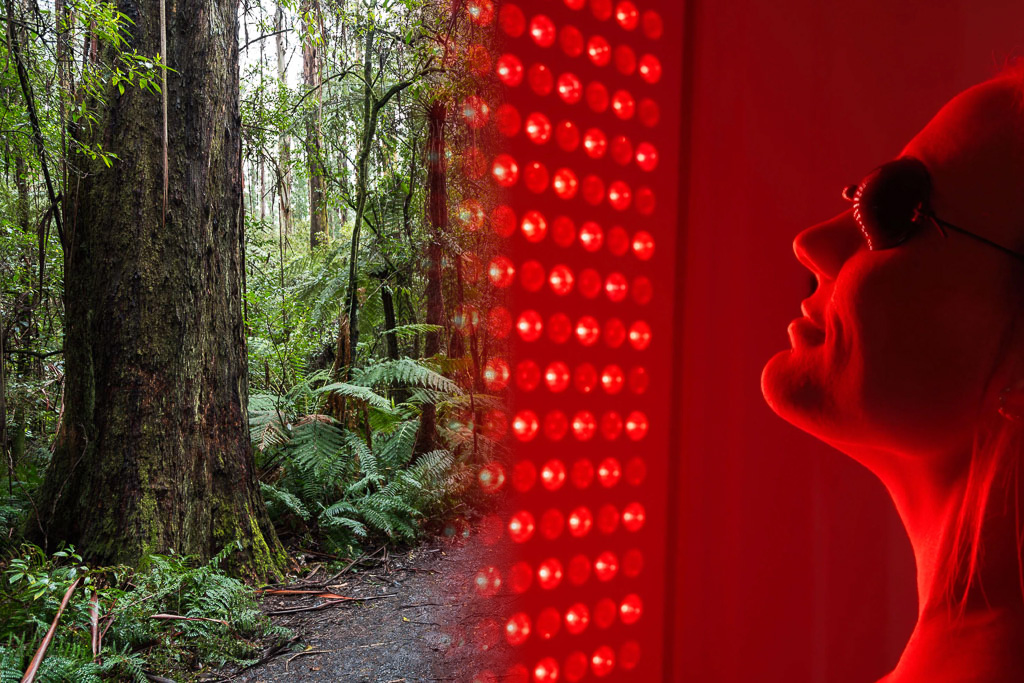 Sassafras Healing Room Experience​